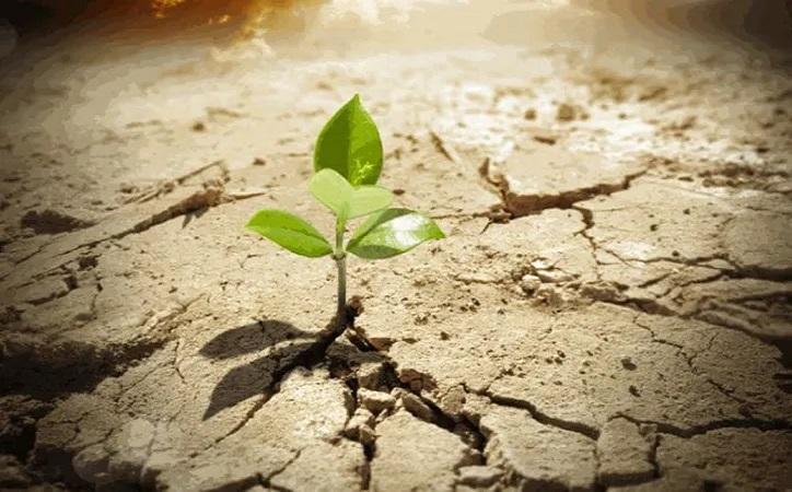 الصدقة الجارية للميت