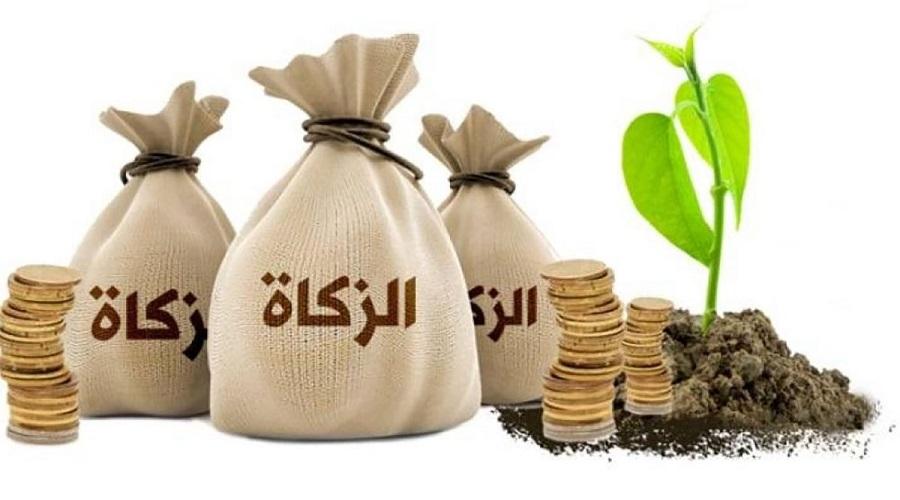 الزكاة في رمضان
