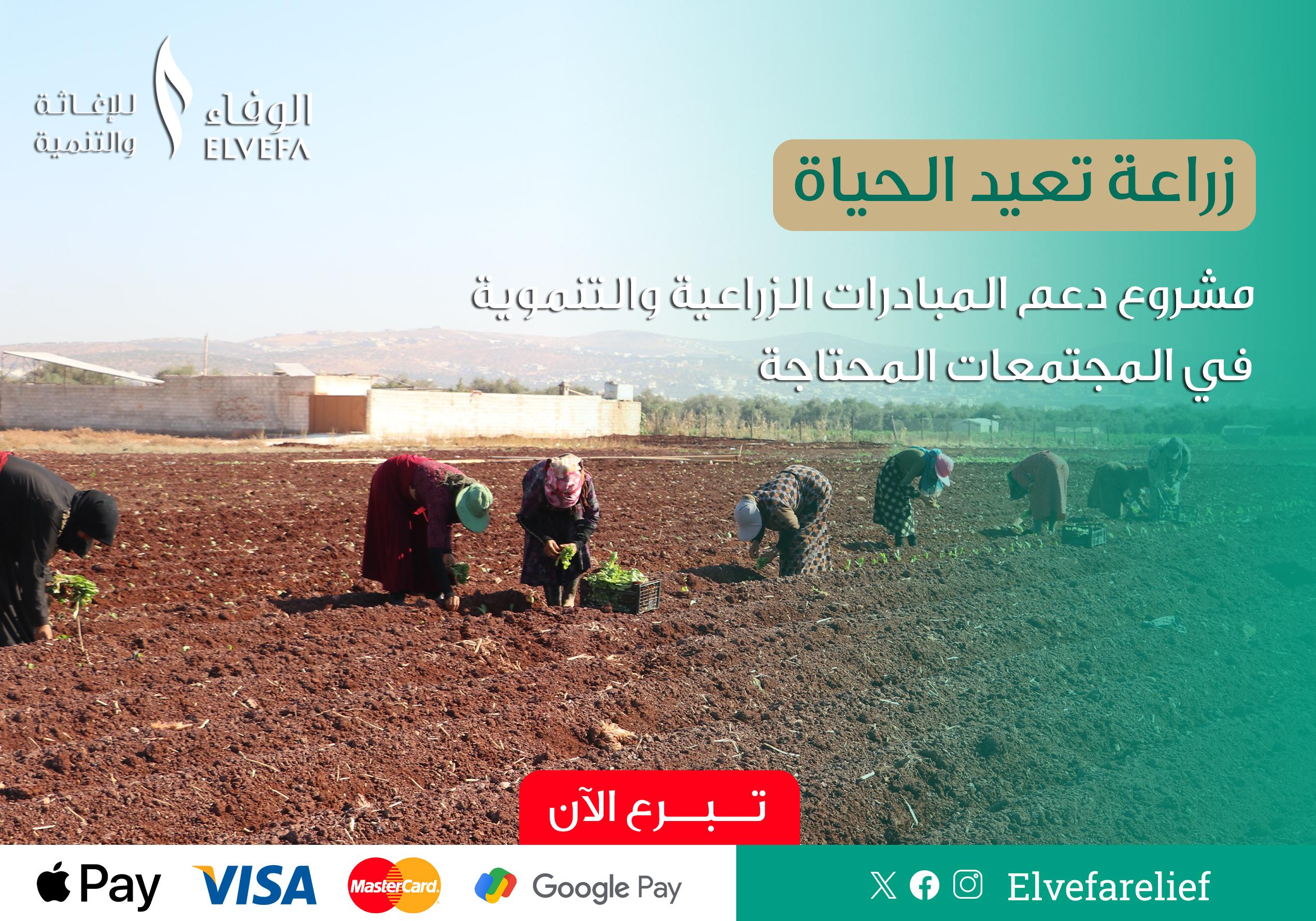 13زراعة تعيد الحياه